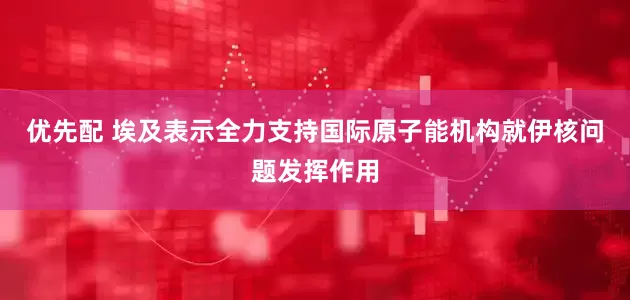 优先配 埃及表示全力支持国际原子能机构就伊核问题发挥作用