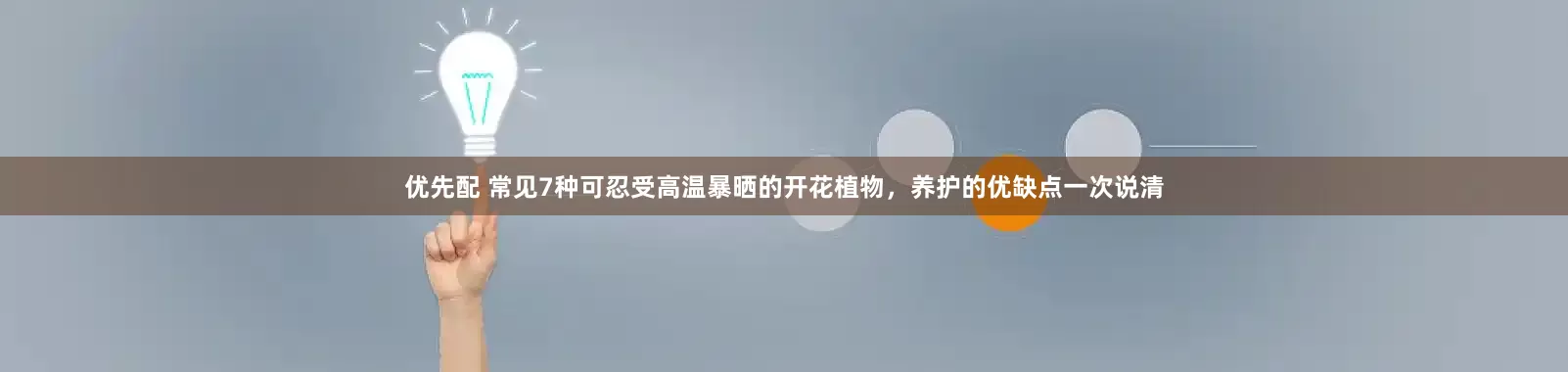 优先配 常见7种可忍受高温暴晒的开花植物，养护的优缺点一次说清