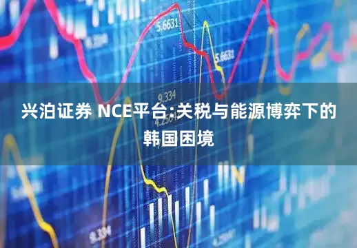 兴泊证券 NCE平台:关税与能源博弈下的韩国困境