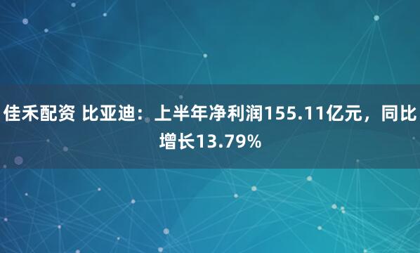 佳禾配资 比亚迪：上半年净利润155.11亿元，同比增长13.79%